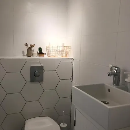 Alpesi faház Cozy Tiny House Close To Schiphol Ams Airport Rijsenhout