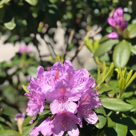 Cozy Tiny House Close To Schiphol Ams Airport 木屋