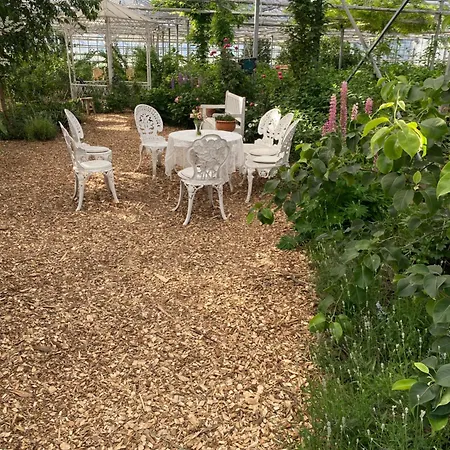 Cozy Tiny House Close To Schiphol Ams Airport