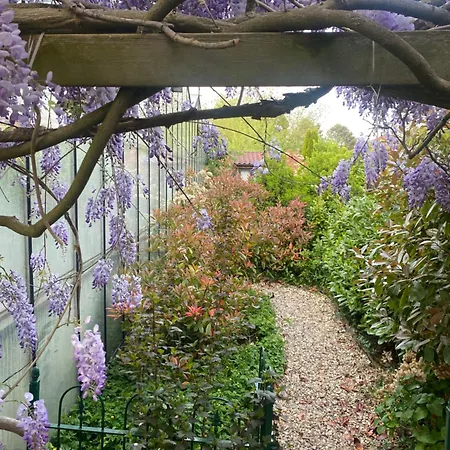 Cozy Tiny House Close To Schiphol Ams Airport 木屋 *