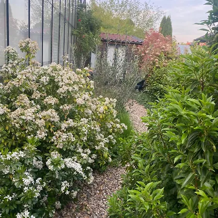 Cozy Tiny House Close To Schiphol Ams Airport Rijsenhout