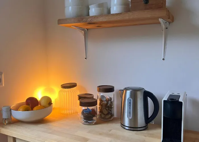 Chalet Cozy Tiny House Close To Schiphol Ams Airport